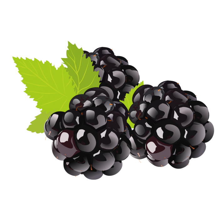 Vector Black Grapes Free Clipart HQ PNG Image
