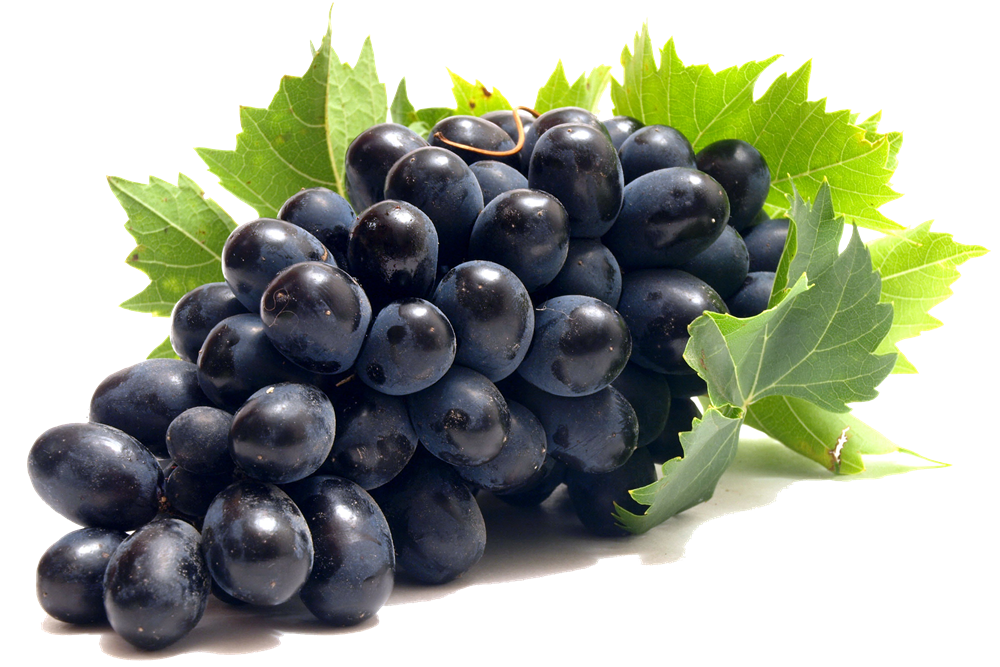 Black Grapes Download Free Image PNG Image