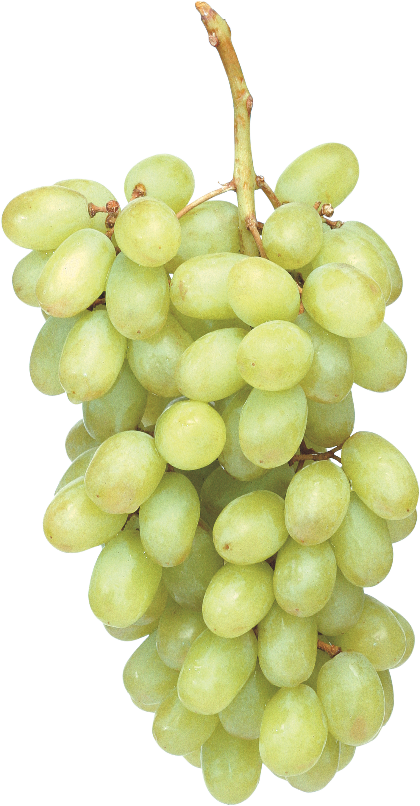 Fresh Green Grapes Photos Free Transparent Image HD PNG Image