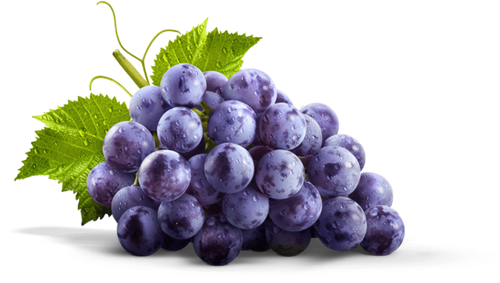 Photos Grapes Download Free Image PNG Image