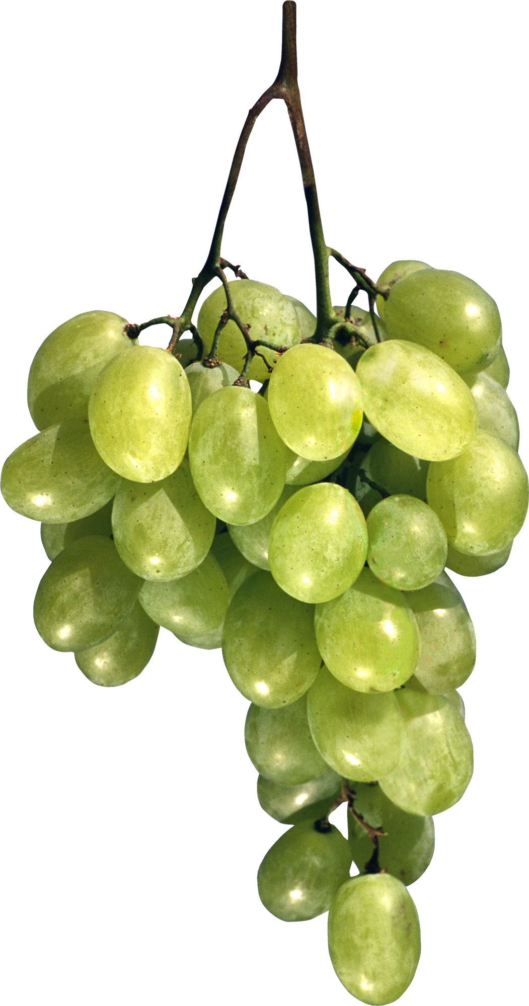 Green Grapes Free Photo PNG Image