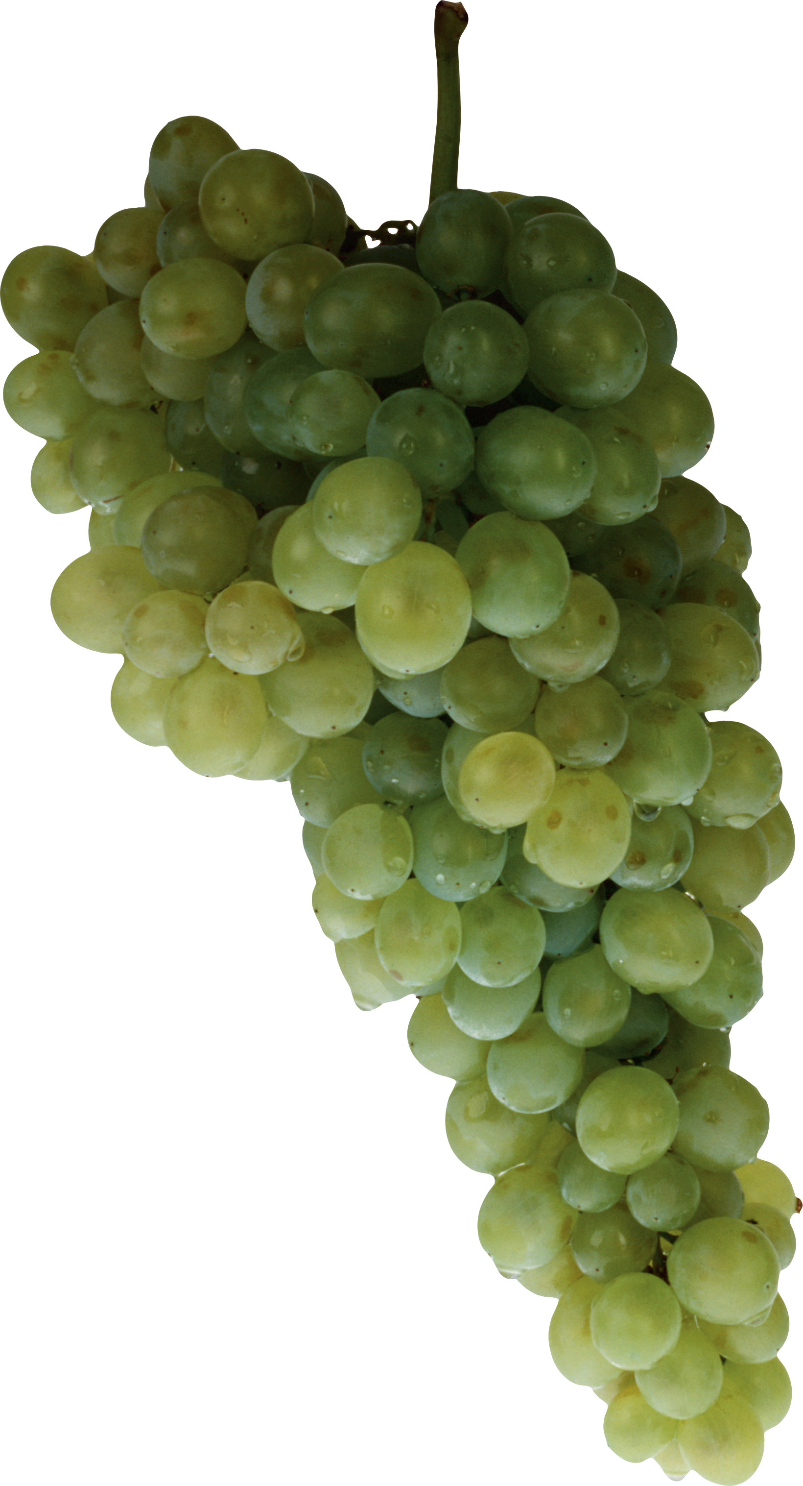 Photos Green Grapes Free Clipart HD PNG Image