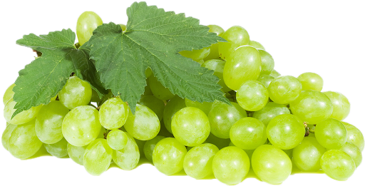 Pic Green Grapes Free Download Image PNG Image