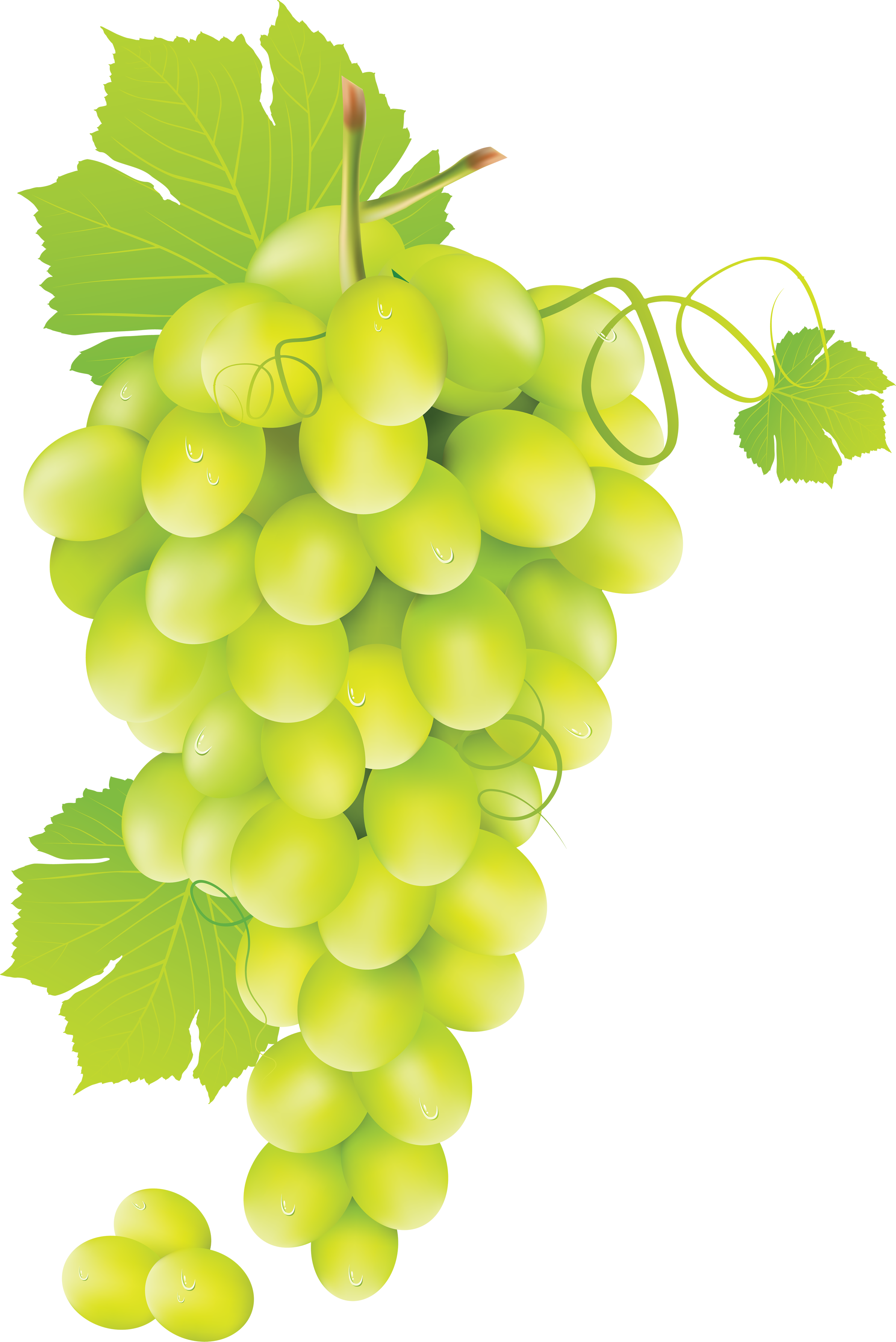 Green Juicy Grapes Download HQ PNG Image