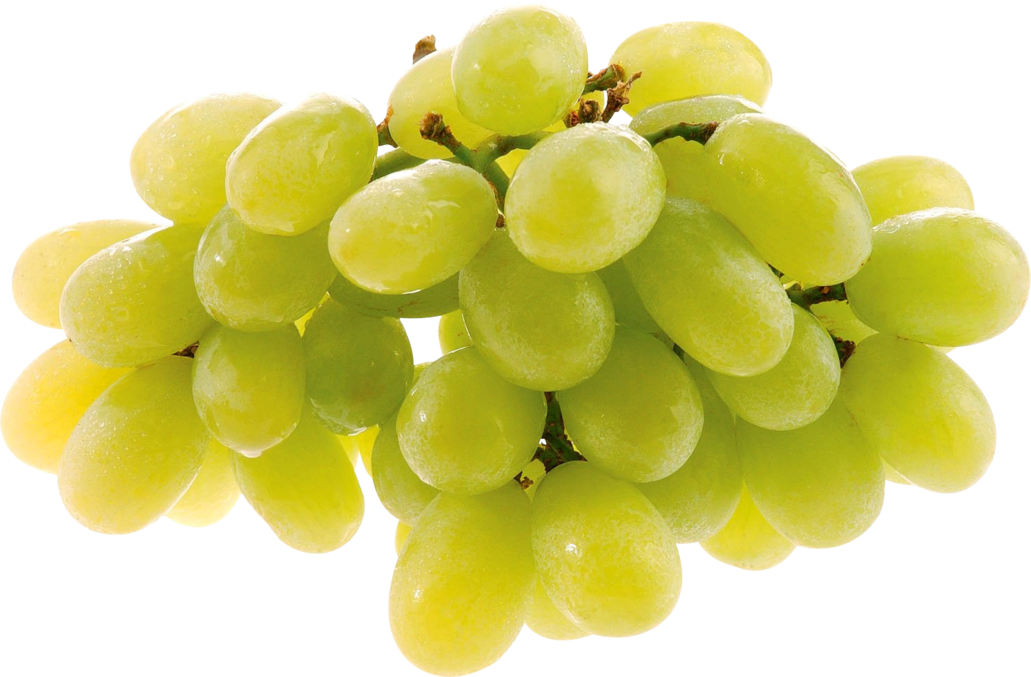 Green Organic Grapes Photos HQ Image Free PNG Image