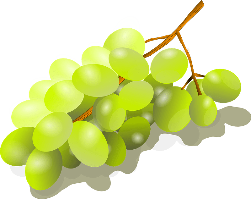 Vector Green Grapes PNG File HD PNG Image