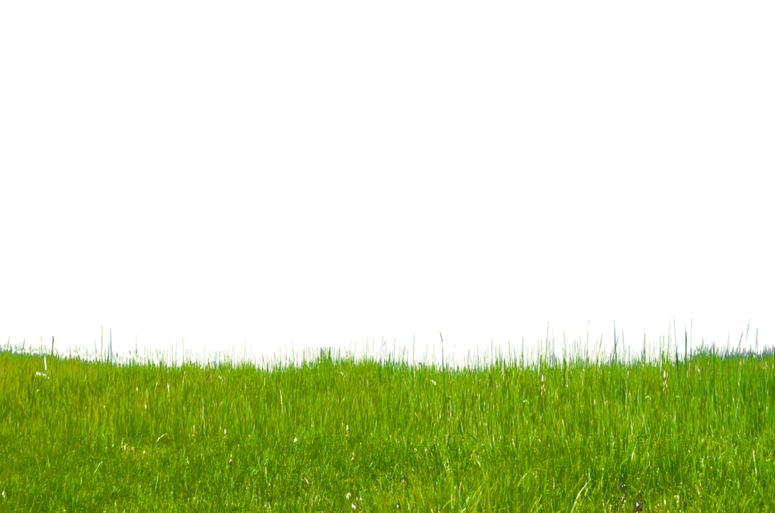 Grass Free Download Png PNG Image
