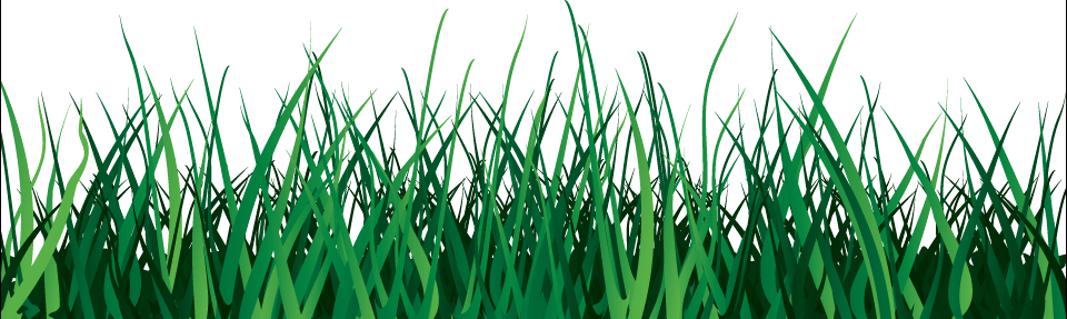 Grass Png Image Green Grass Png Picture PNG Image