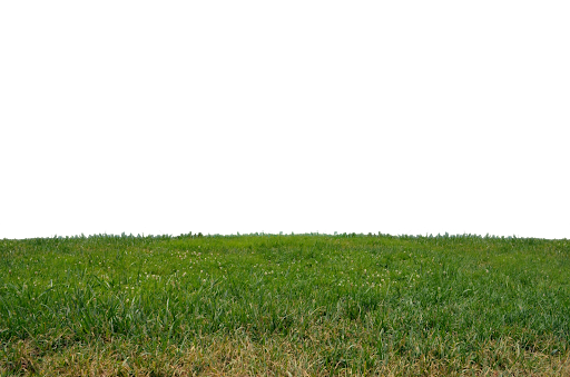 Field Grass Green Download HD PNG Image