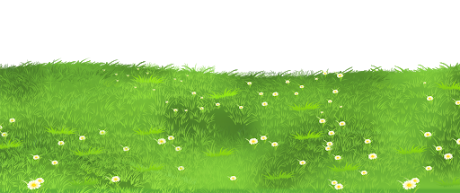 Field Grass Green PNG Image High Quality PNG Image