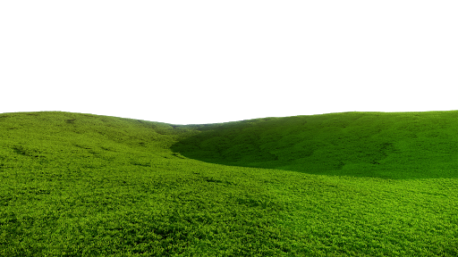 Field Grass Green Download HQ PNG Image