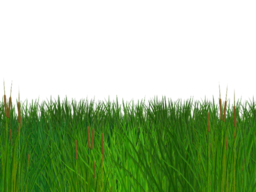 Field Grass Green Free Download Image PNG Image