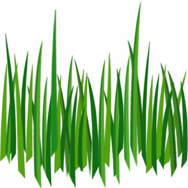 Grass Png Image Green Grass Png Picture PNG Image