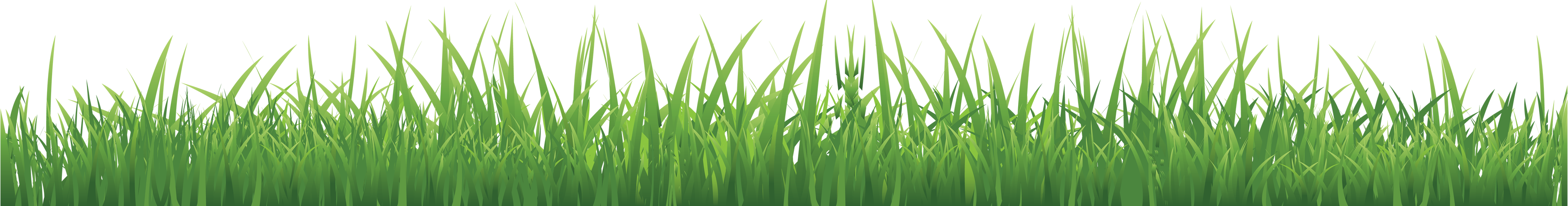 Grass Free Clipart HQ PNG Image