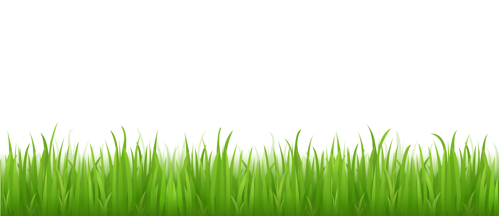 Vector Photos Grass Free Clipart HD PNG Image