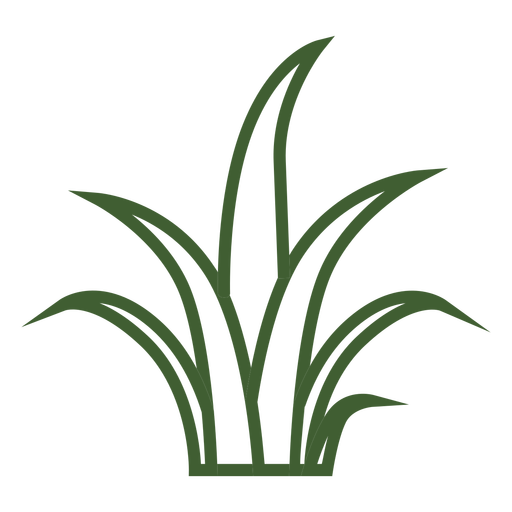 Vector Grass PNG Free Photo PNG Image