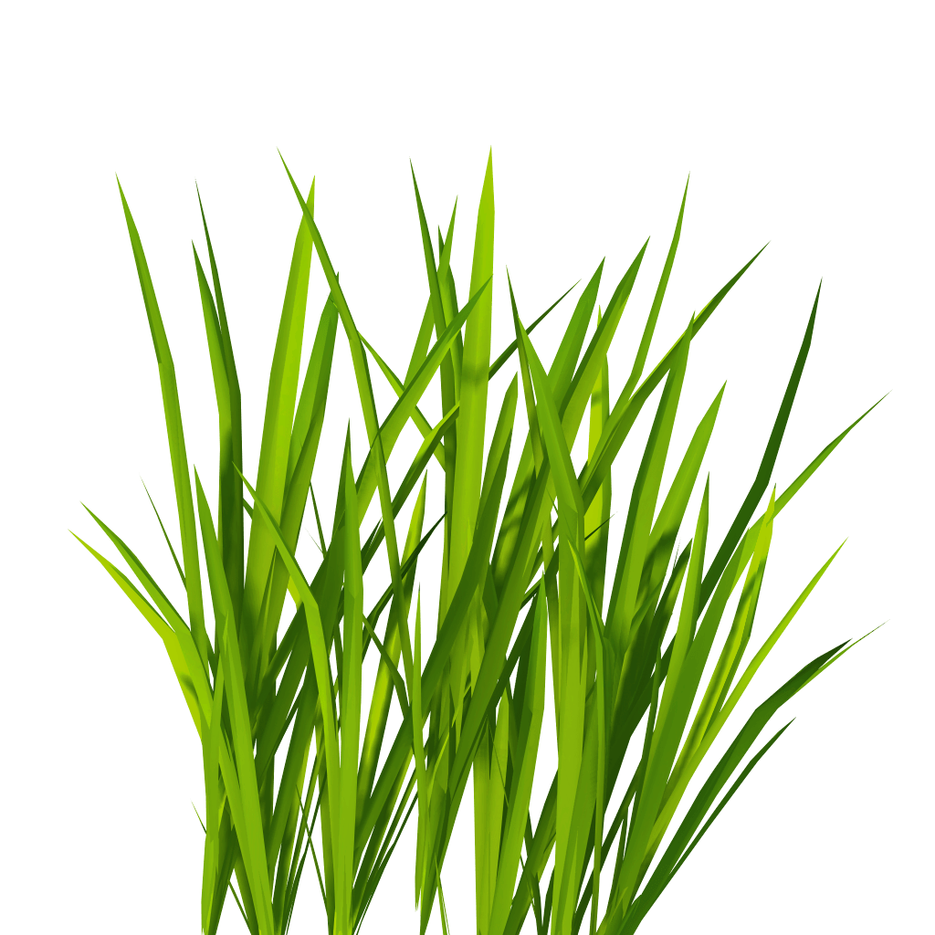 Grass Green Free Download Image PNG Image