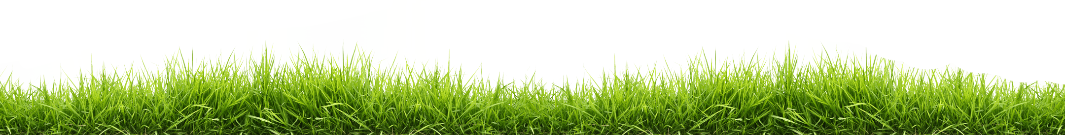 Grass Green Download Free Image PNG Image