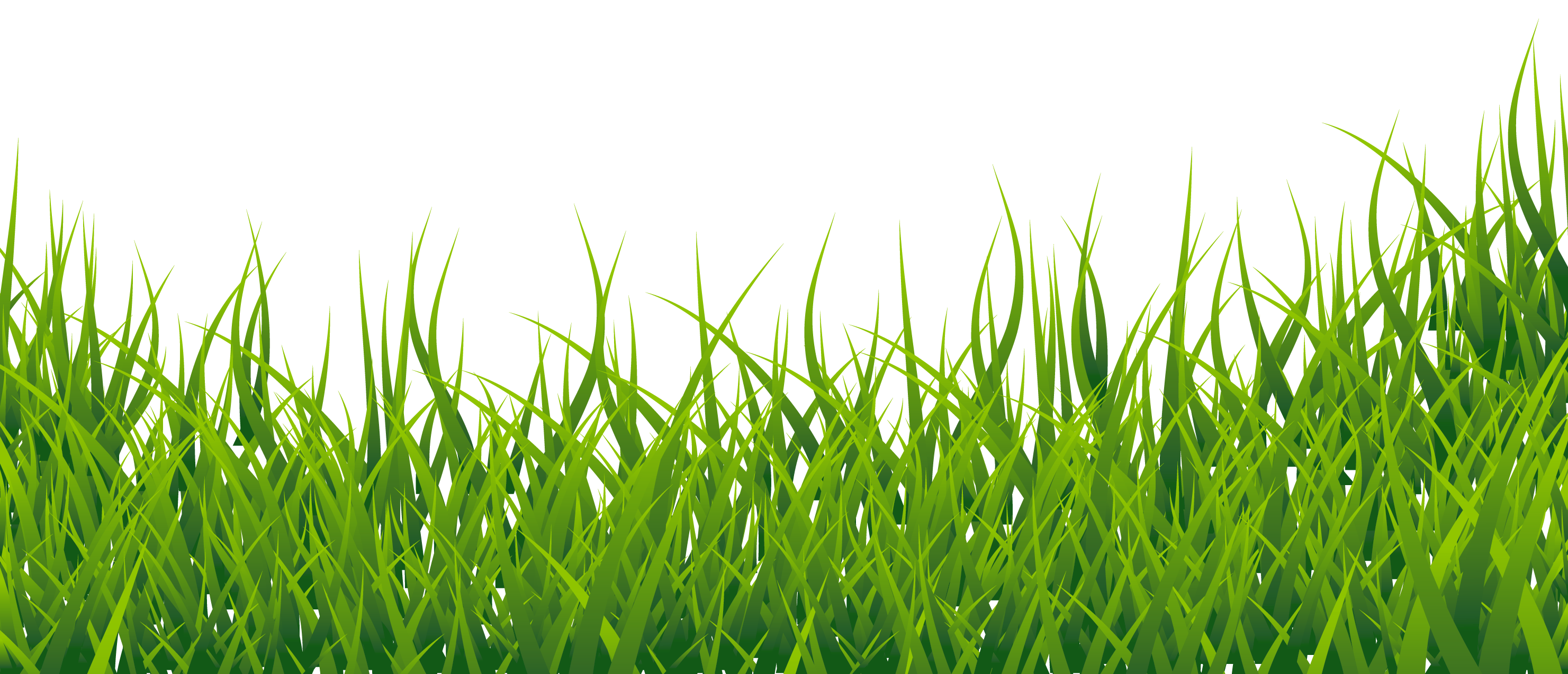 Vector Grass Green HD Image Free PNG Image