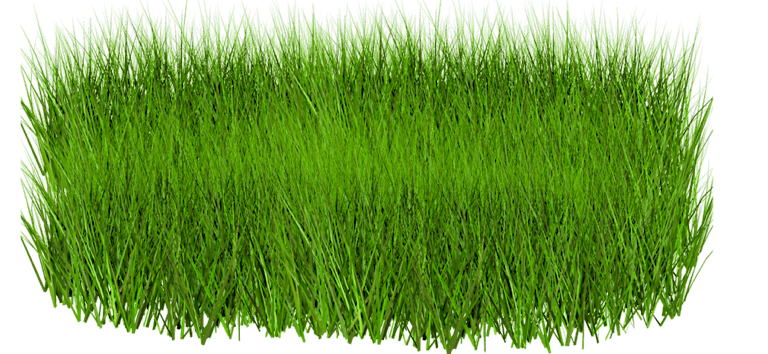 Grass Png Image Green Picture PNG Image