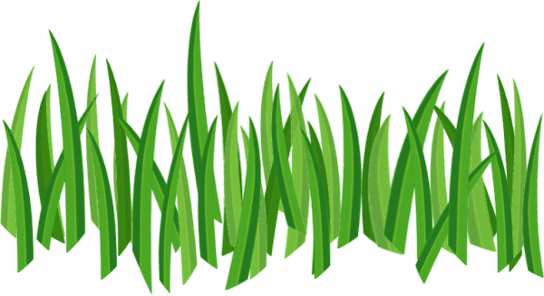 Grass Png Image Green Picture PNG Image