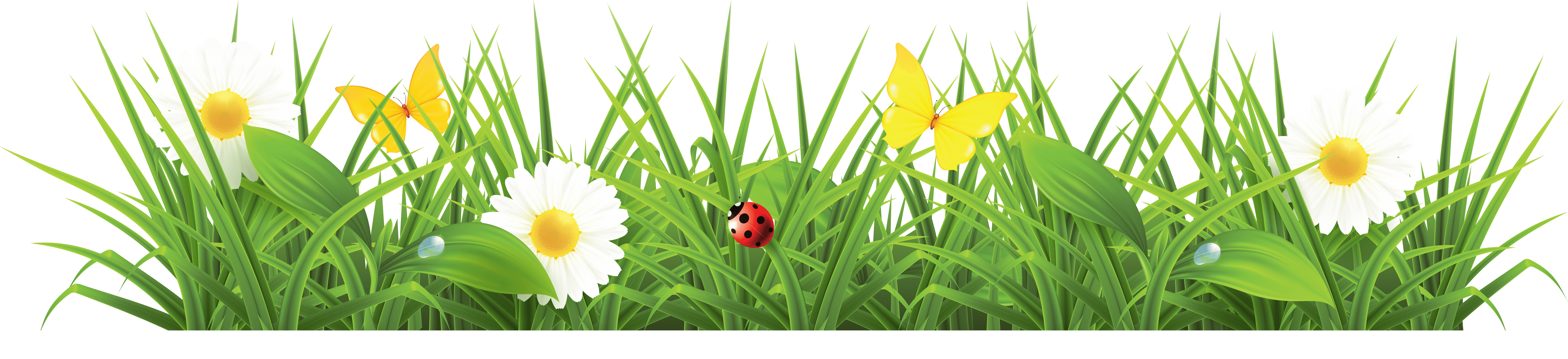 Grass Png Image Green Grass Png Picture PNG Image