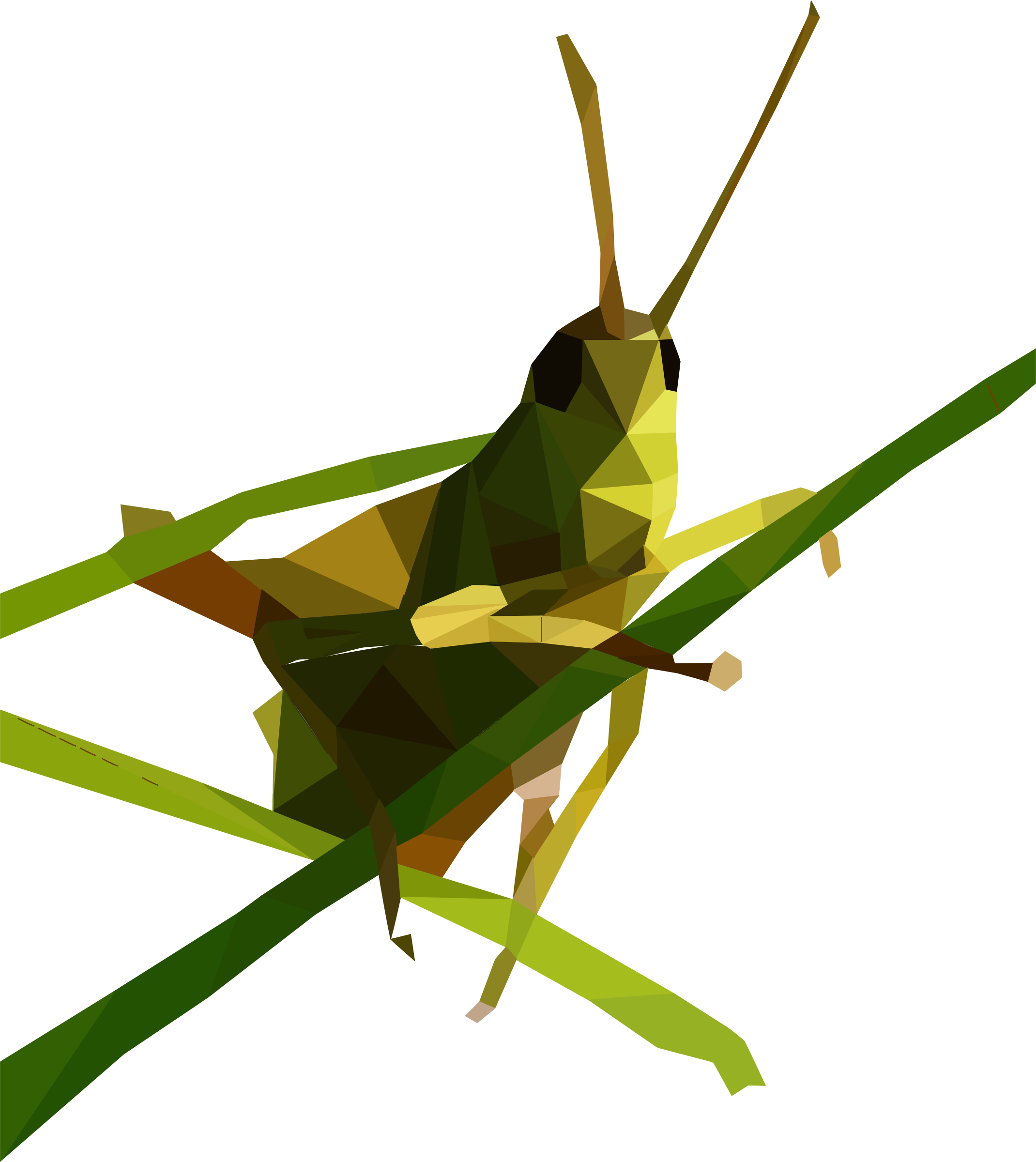 Grasshopper Free Download PNG Image