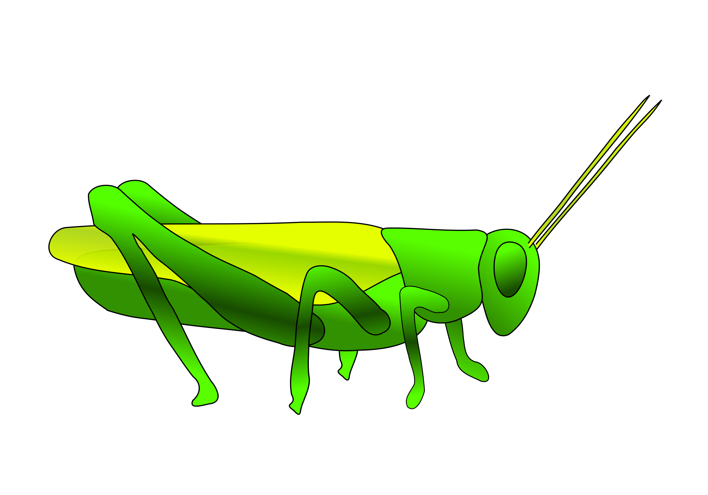 Grasshopper Hd PNG Image
