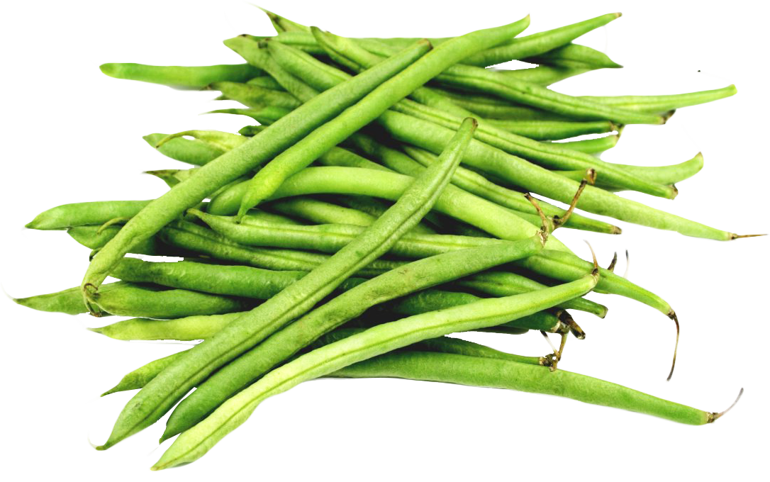 Beans Green Free HQ Image PNG Image