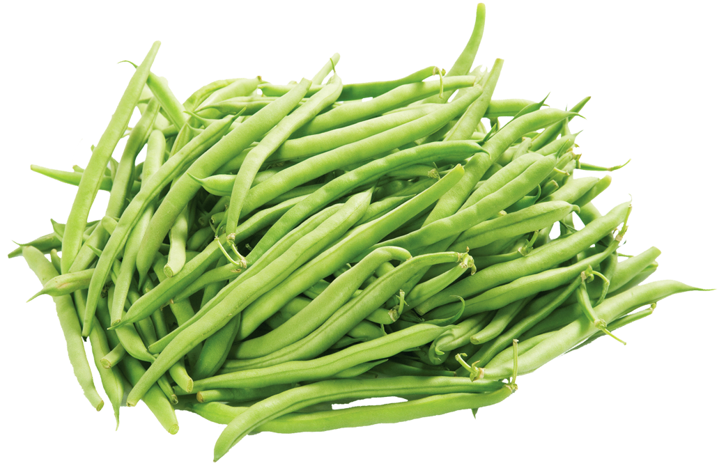 Fresh Green Beans Free Clipart HD PNG Image