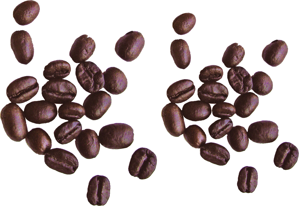 Coffee Beans Falling Free Download PNG HD PNG Image