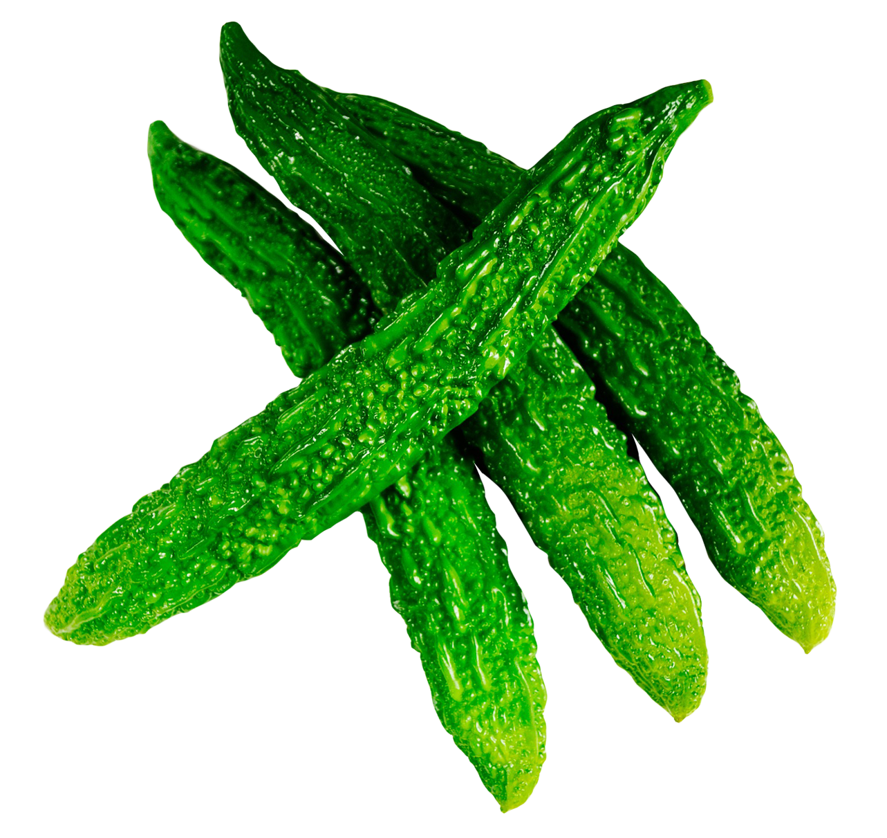 Gourd Fresh Bitter PNG Free Photo Transparent PNG Image
