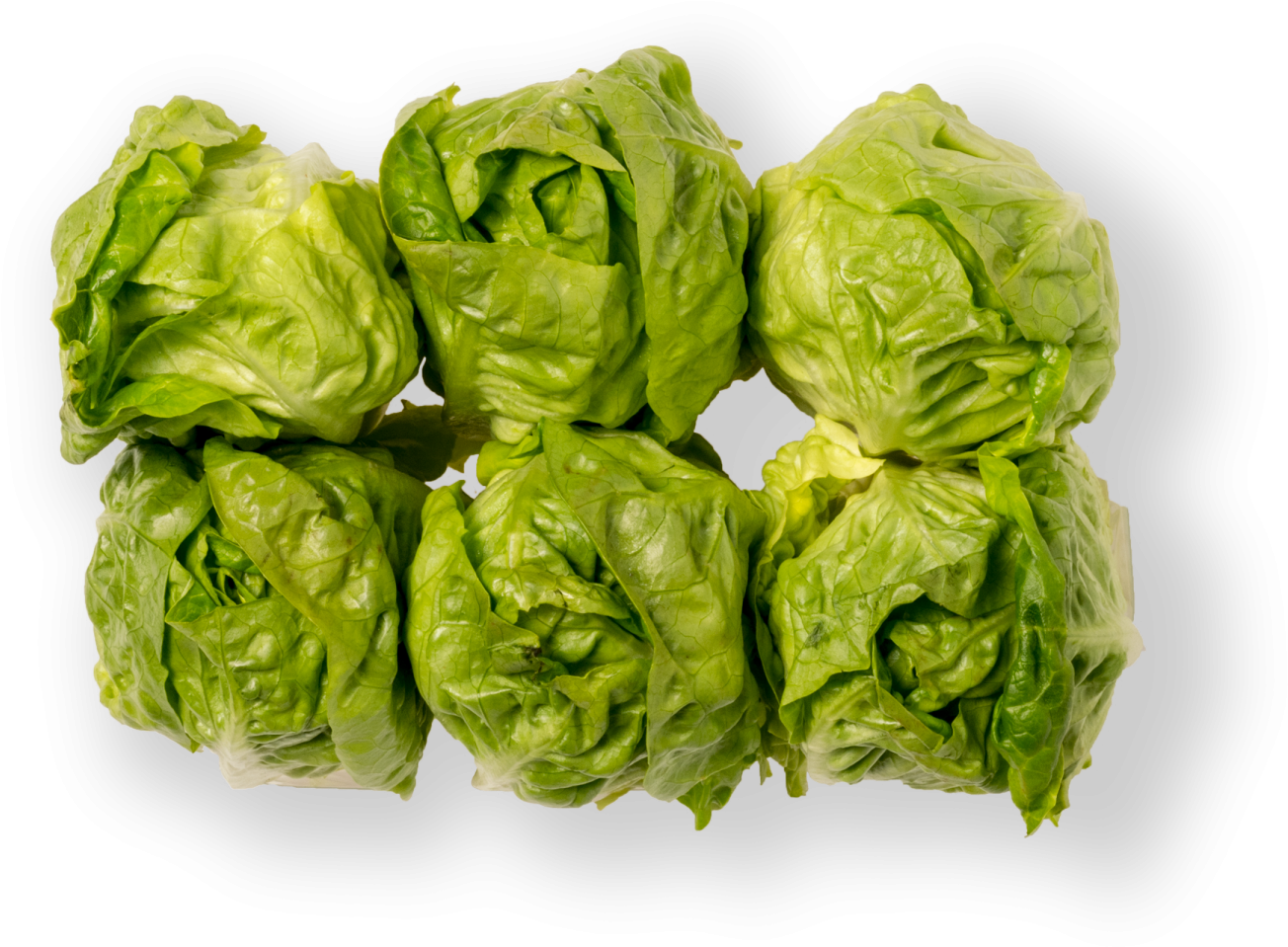 Sprouts Brussels Free Download PNG HD PNG Image