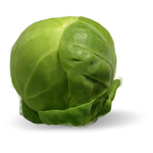 Sprouts Brussels PNG Download Free PNG Image