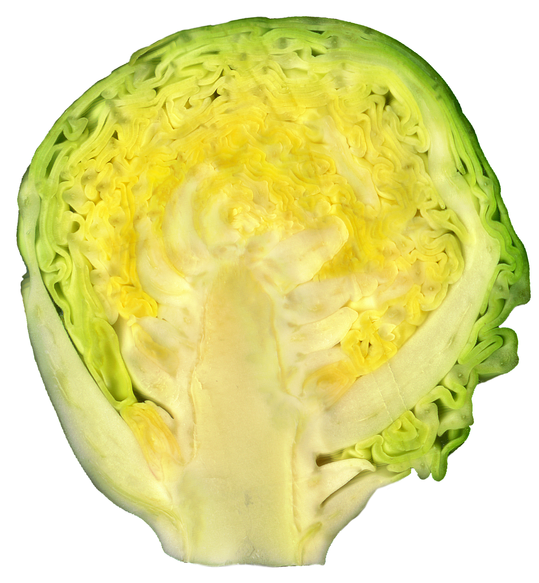 Sprouts Brussels Half Free Transparent Image HQ PNG Image