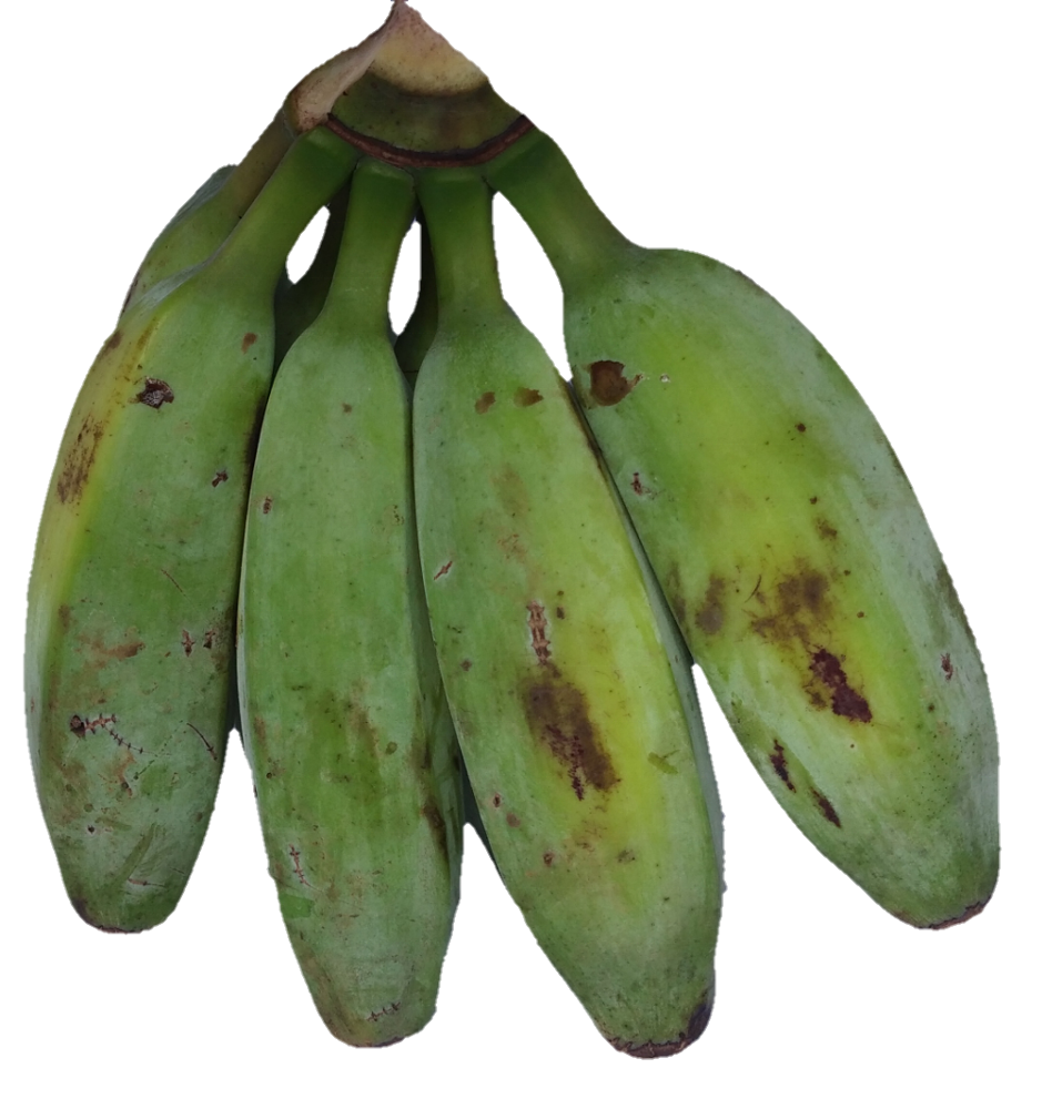 Plantain Green HQ Image Free PNG Image