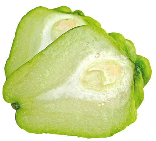 Fresh Chayote Free PNG HQ PNG Image