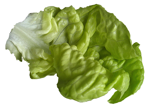 Celtuce Green Free Transparent Image HD PNG Image