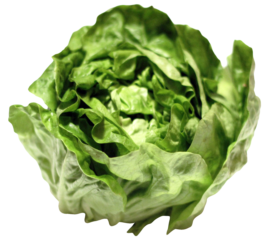 Photos Celtuce Green Free Photo PNG Image