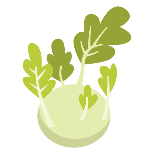 Kohlrabi Free Download Image PNG Image