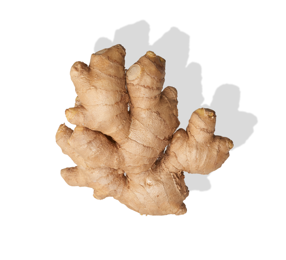 Fresh Galangal PNG Image High Quality PNG Image