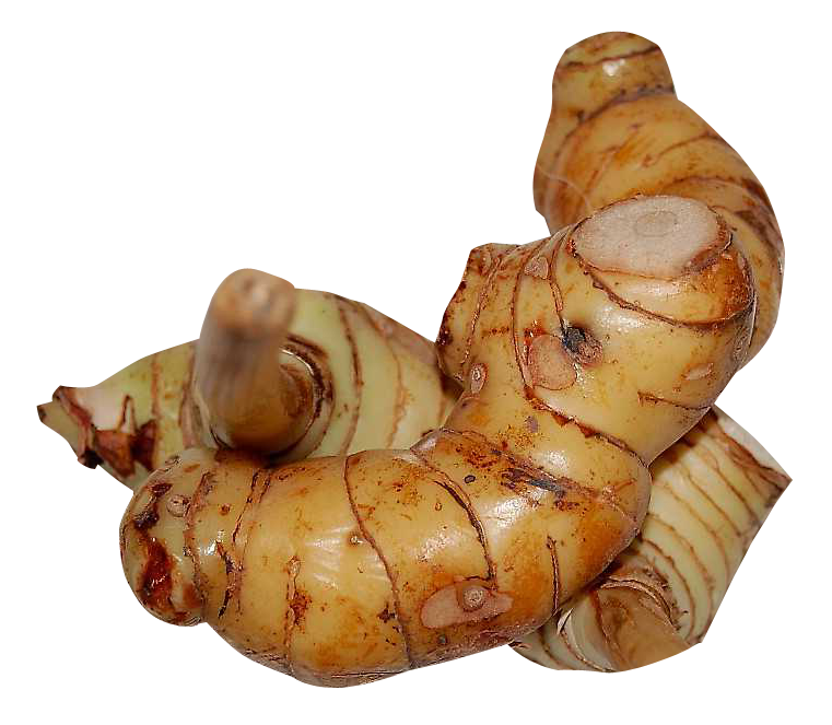 Fresh Galangal Free Transparent Image HD PNG Image