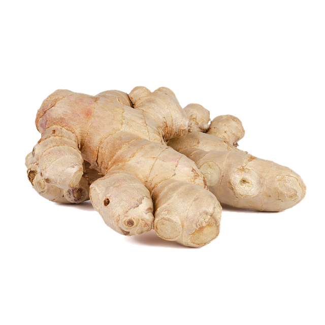 Fresh Galangal Free Download PNG HD PNG Image