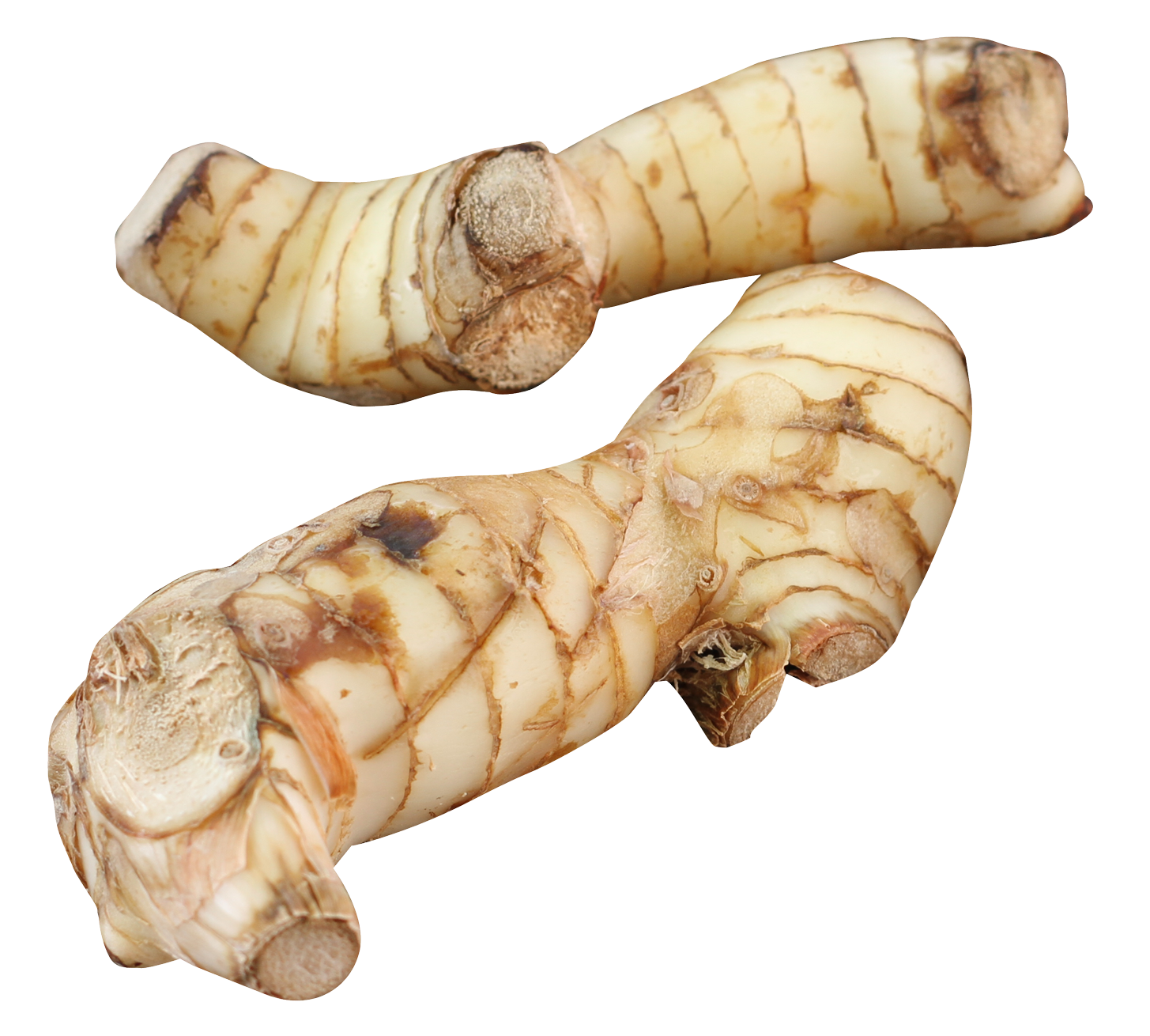 Galangal PNG Image High Quality PNG Image