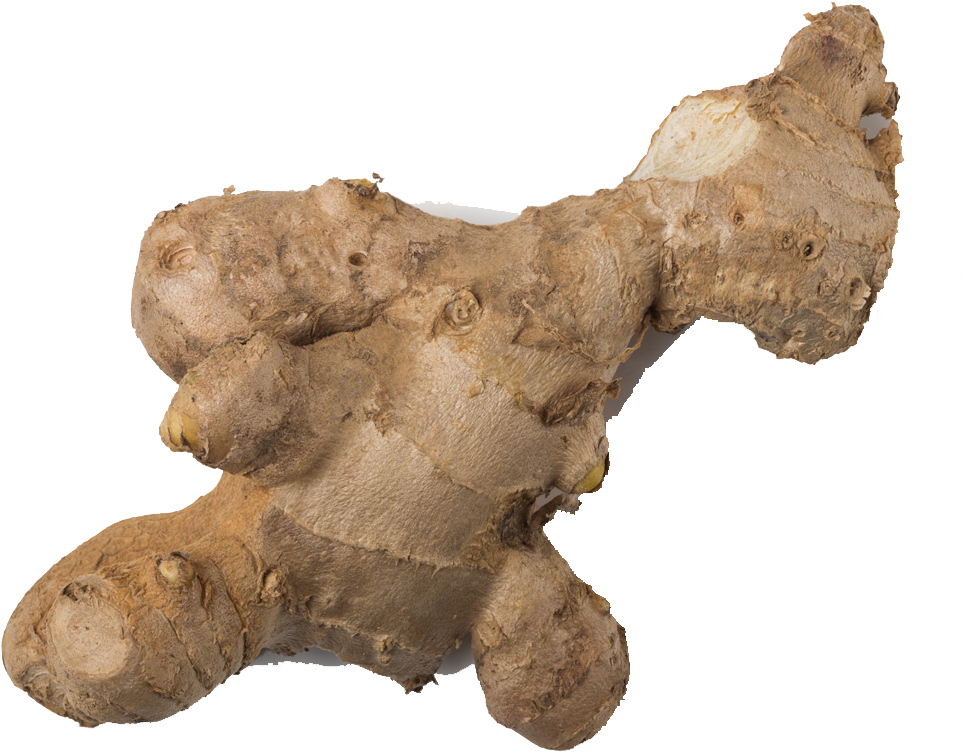 Pic Organic Galangal HQ Image Free PNG Image