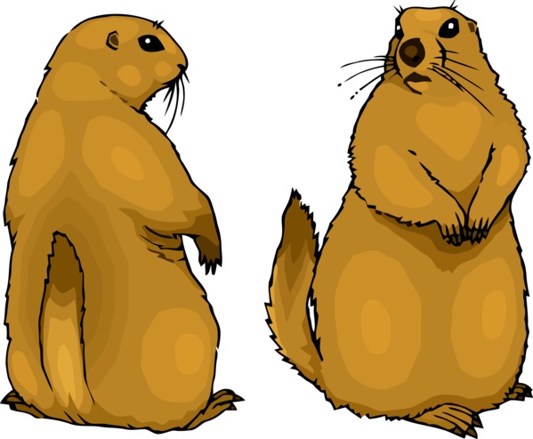 Groundhog Day Fur Seal Gopher For Carol PNG Image