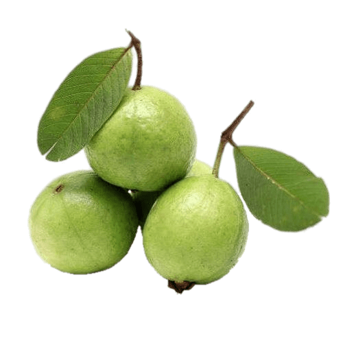 Guava Green Free Download PNG HD PNG Image