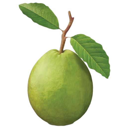 Guava Green Free Clipart HD PNG Image