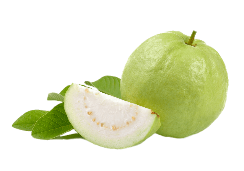 Guava Free Download Image PNG Image