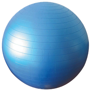 Gym Ball Png Clipart PNG Image